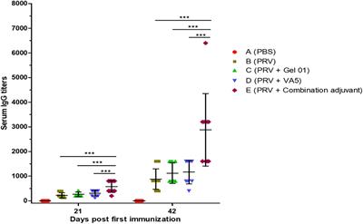 Protective efficacy of intranasal inactivated pseudorabies vaccine is improved by combination adjuvant in mice